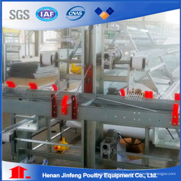 Jaulas de camada de frango Jaulas automáticas Henan Jinfeng